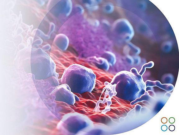 La Histamina: Clave para tu Salud, ¿Amiga o Enemiga?