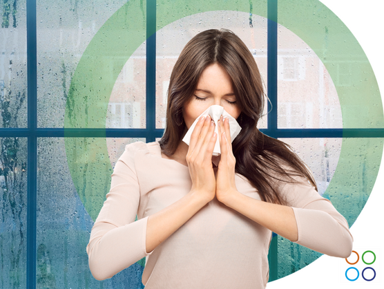 Alergia por Humedad: Causas y Tratamientos