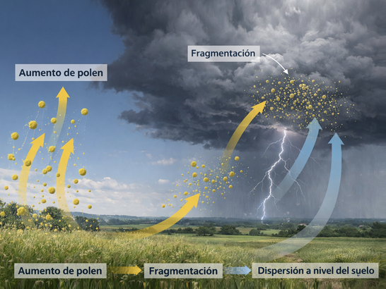 Proceso de tormenta de polen: corrientes de aire ascendentes transportando granos de polen desde el suelo hacia una nube de tormenta oscura