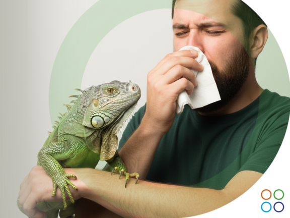 Un hombre estornudando al sostener una iguana grande sobre su antebrazo izquierdo
