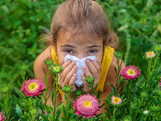 ¿Qué causa alergia en los niños?