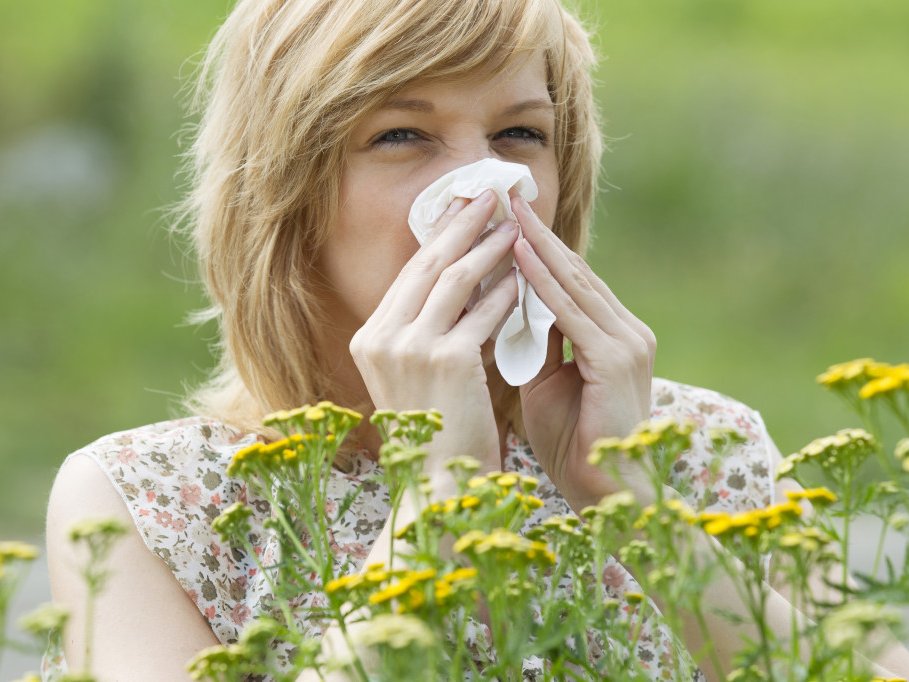 Causas de la alergia al polen