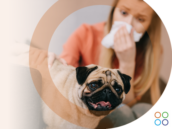 Alergia a los Perros e Inmunoterapia: Un Camino Hacia el Bienestar