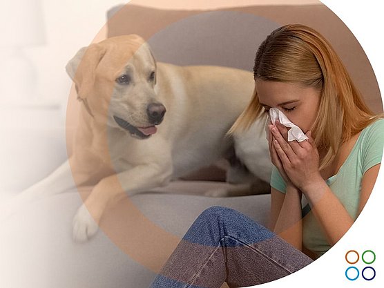 Alergia a animales