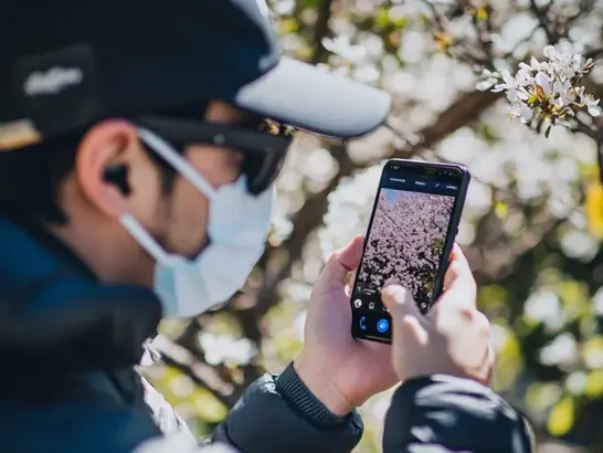 Persona siguiendo las recomendaciones contra el polen: usando una mascarilla y gafas de sol al aire libre, y monitoreando el nivel de polen en un dispositivo móvil